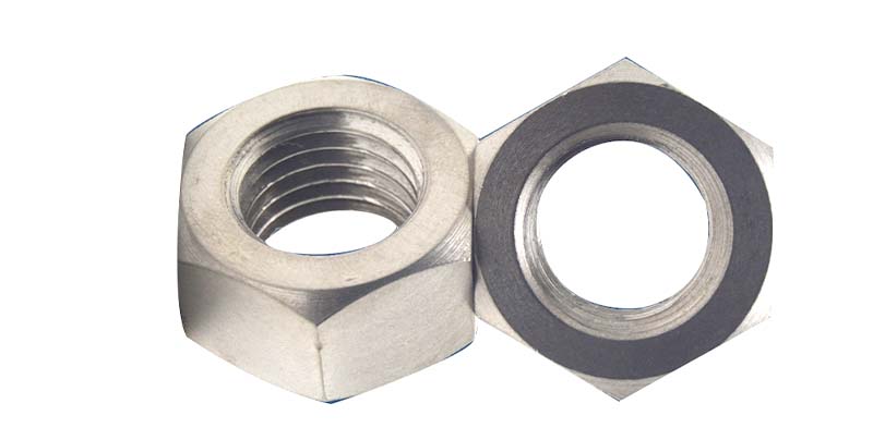 Single Chamfered Hexagon Foundation Nuts