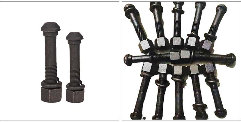 Cup oval neck bolts for fish plate