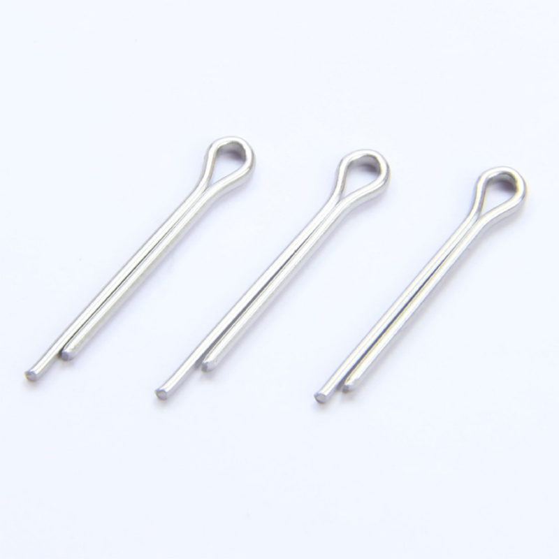 Pozitivně zachována závlačka